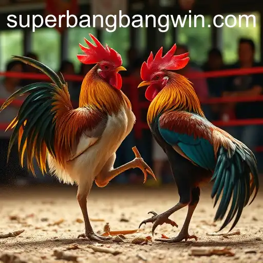 Sabong Games: An In-Depth Look Into Superbangbang